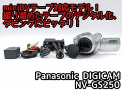2026年最新】nv-gs250の人気アイテム - メルカリ