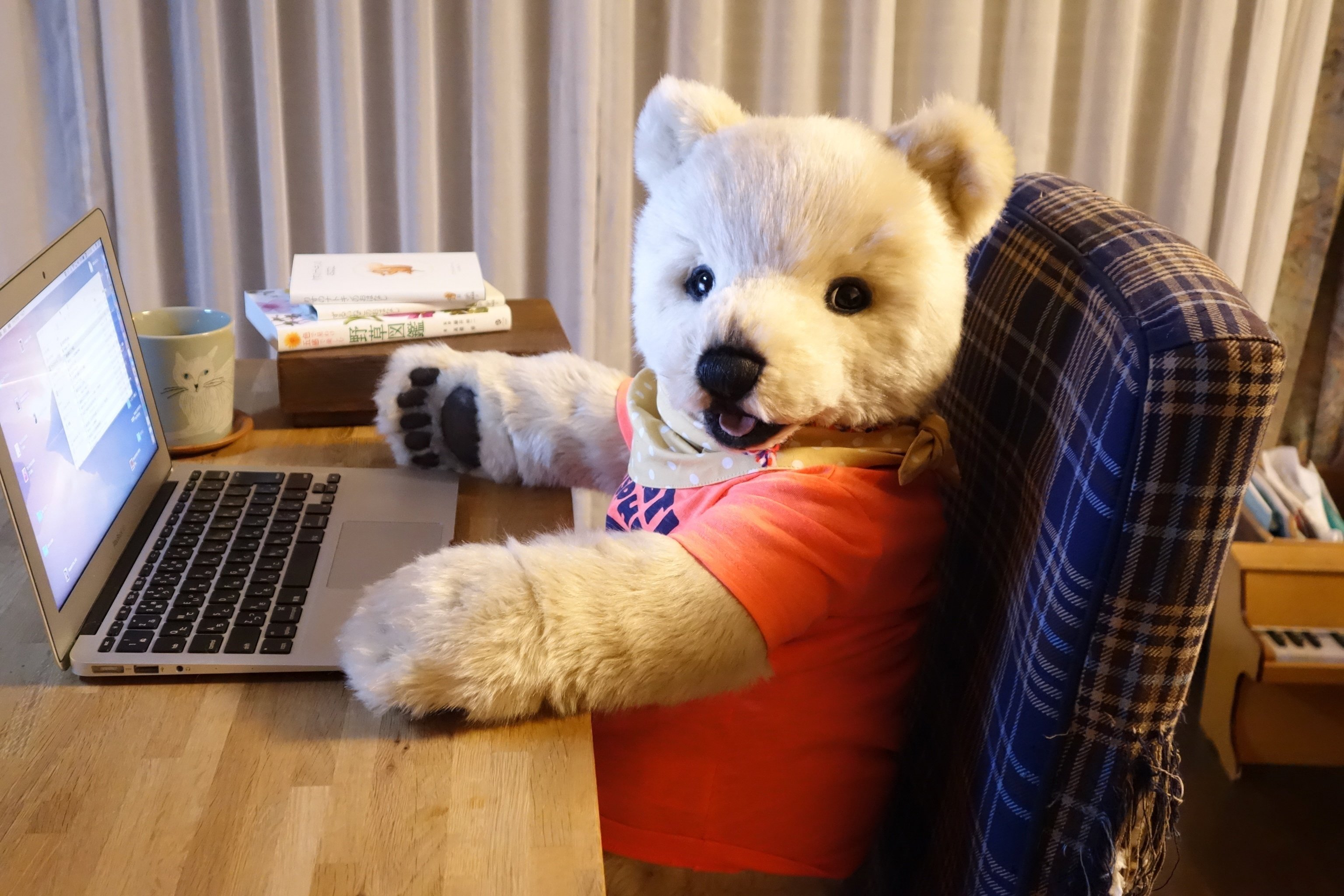 柔らかぬいぐるみ万歳｜飯田有抄