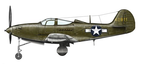 EZ p-39 エアラコブラ （翼長1メートル50センチ超❗️） EZ p-39