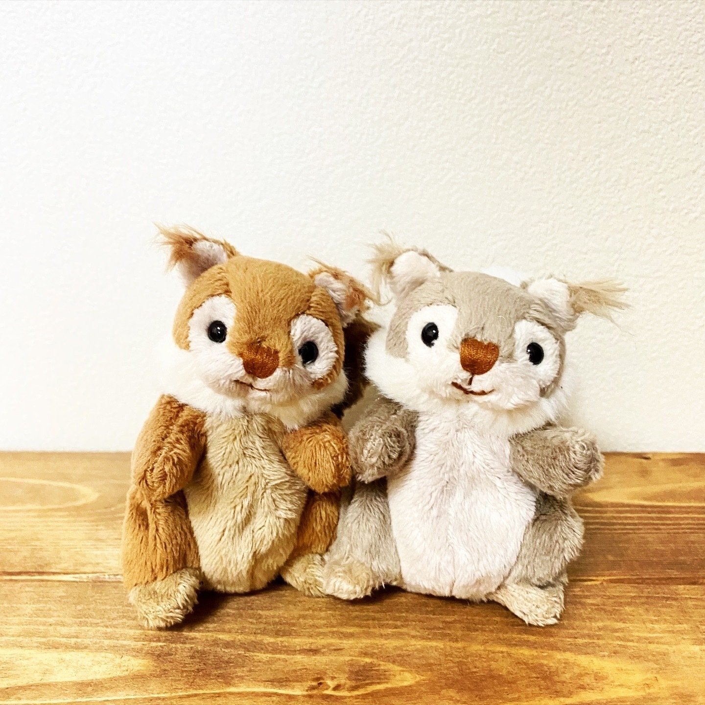 ブコウスキーのリス｜みィ