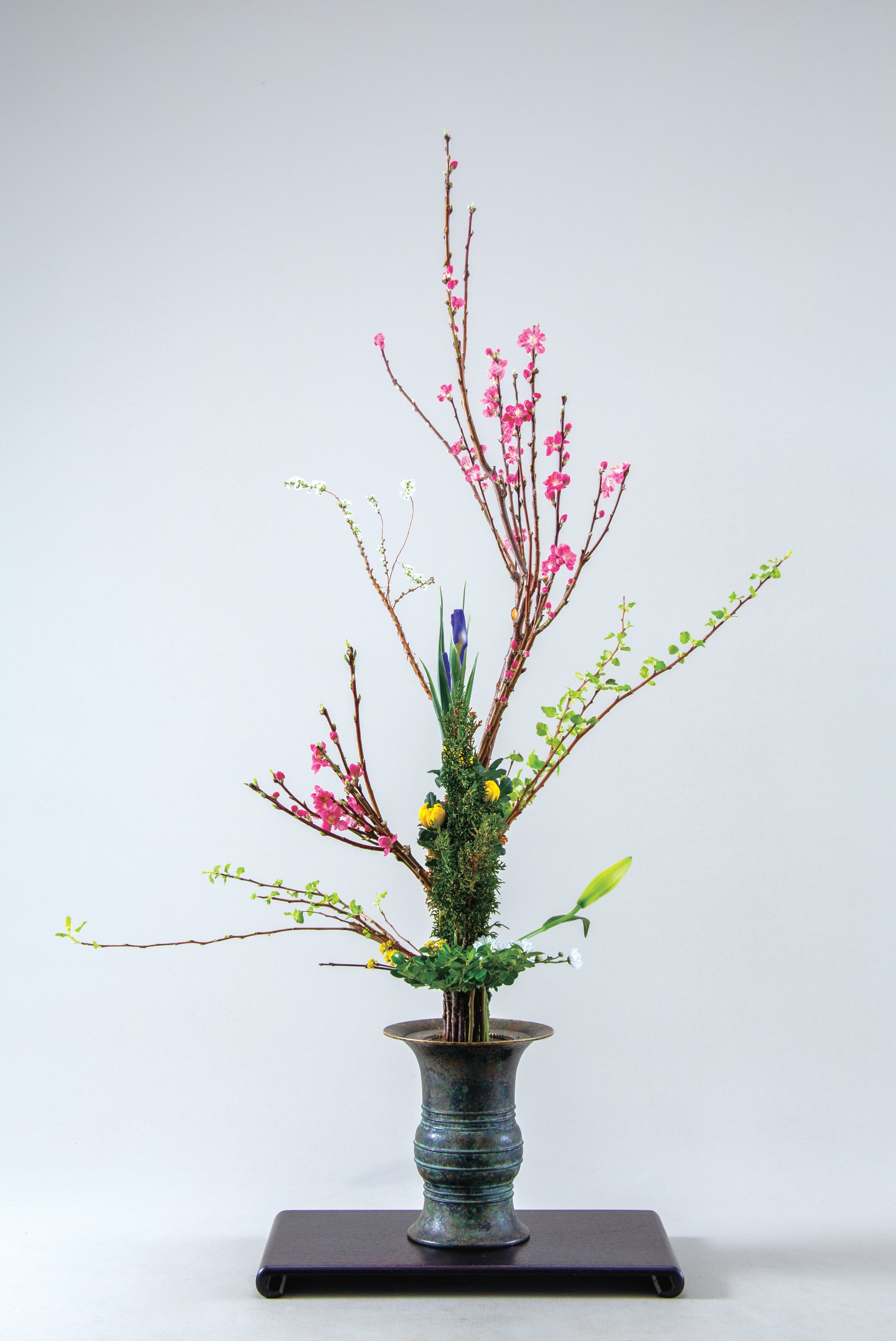 立華=桃の真の立華／生花=さんしゅゆの一種いけ（2025年3月号「龍生派