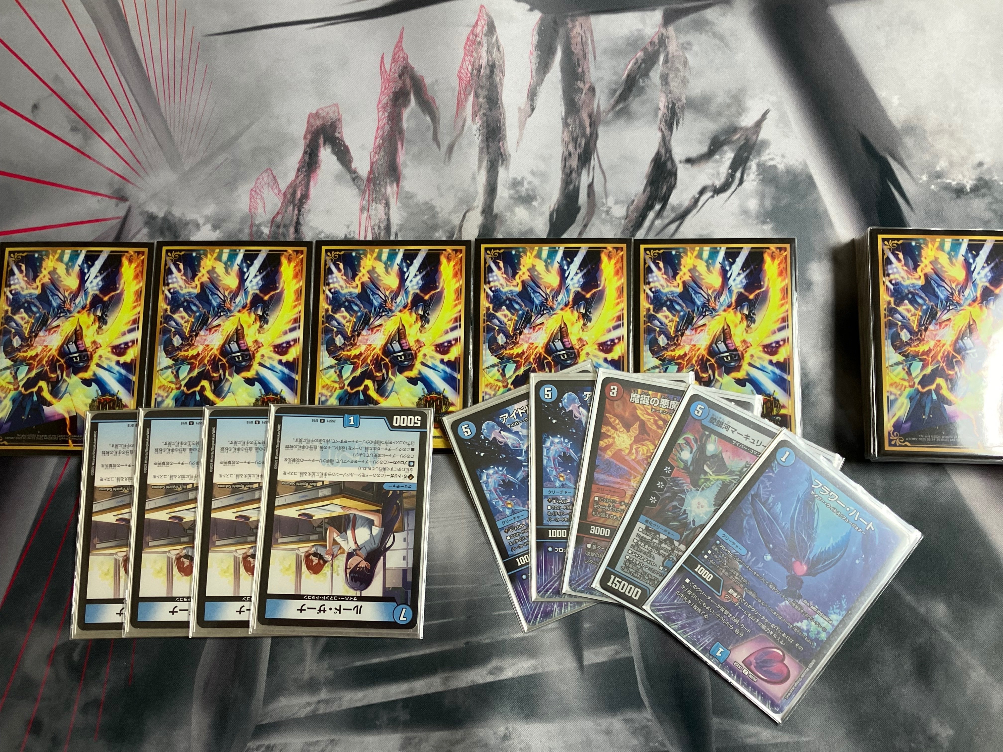 アグロサイバーのすすめ｜カンゴク2期