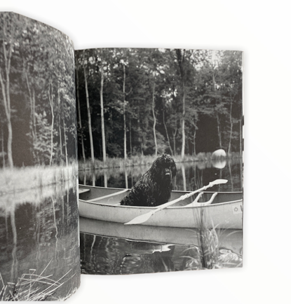 GENTLE GIANTS BY BRUCE WEBER – ARTRANDOM