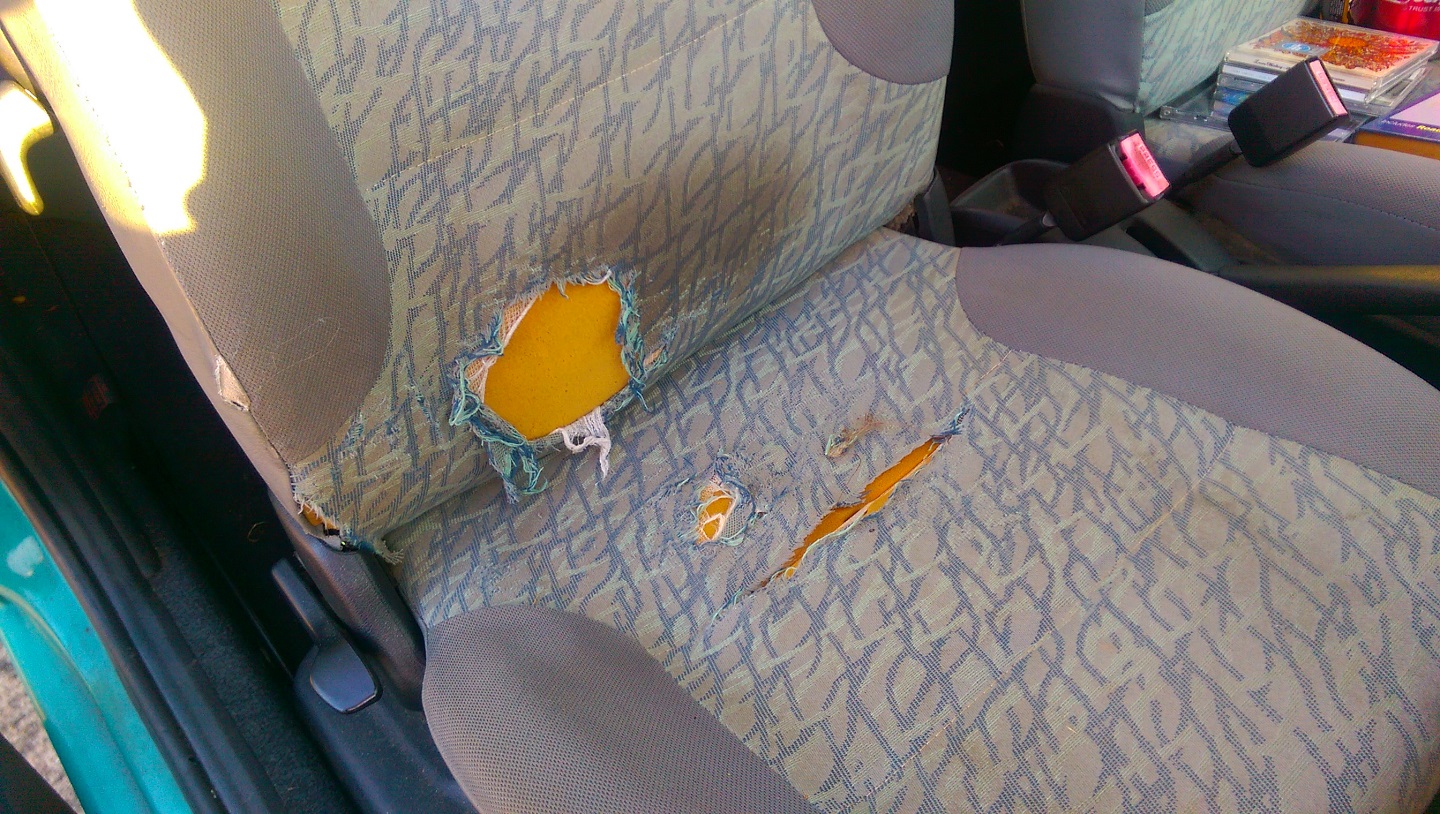 306 / 405 Hybrid roars from Strength to Strength. - AutoShite