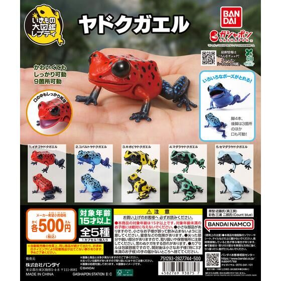 いきもの大図鑑レプティ ヤドクガエル | ガシャポン バンダイ