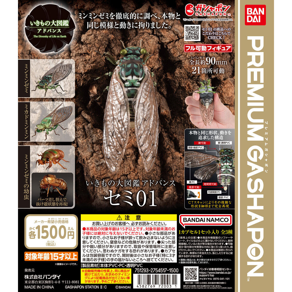 いきもの大図鑑アドバンス セミ01｜ガシャポンオフィシャルサイト