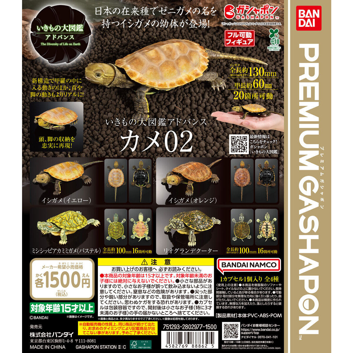 いきもの大図鑑アドバンス カメ02｜ガシャポンオフィシャルサイト