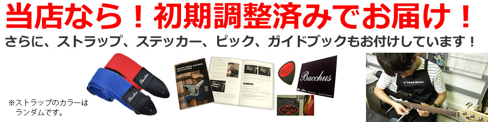 GRACE-ATS (Bacchus / バッカス) エレキギター