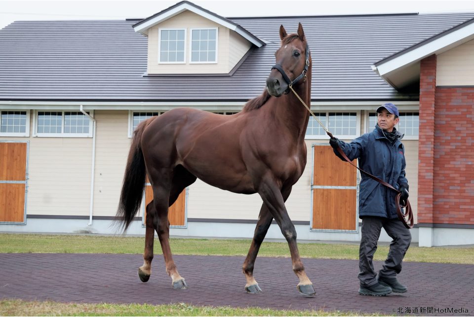 優駿スタリオンステーション アーカイブ - Baji News powered by 馬事通信