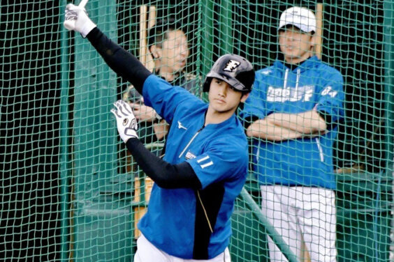 0e3c2e299f306bc3a2f20cbe1b0d16