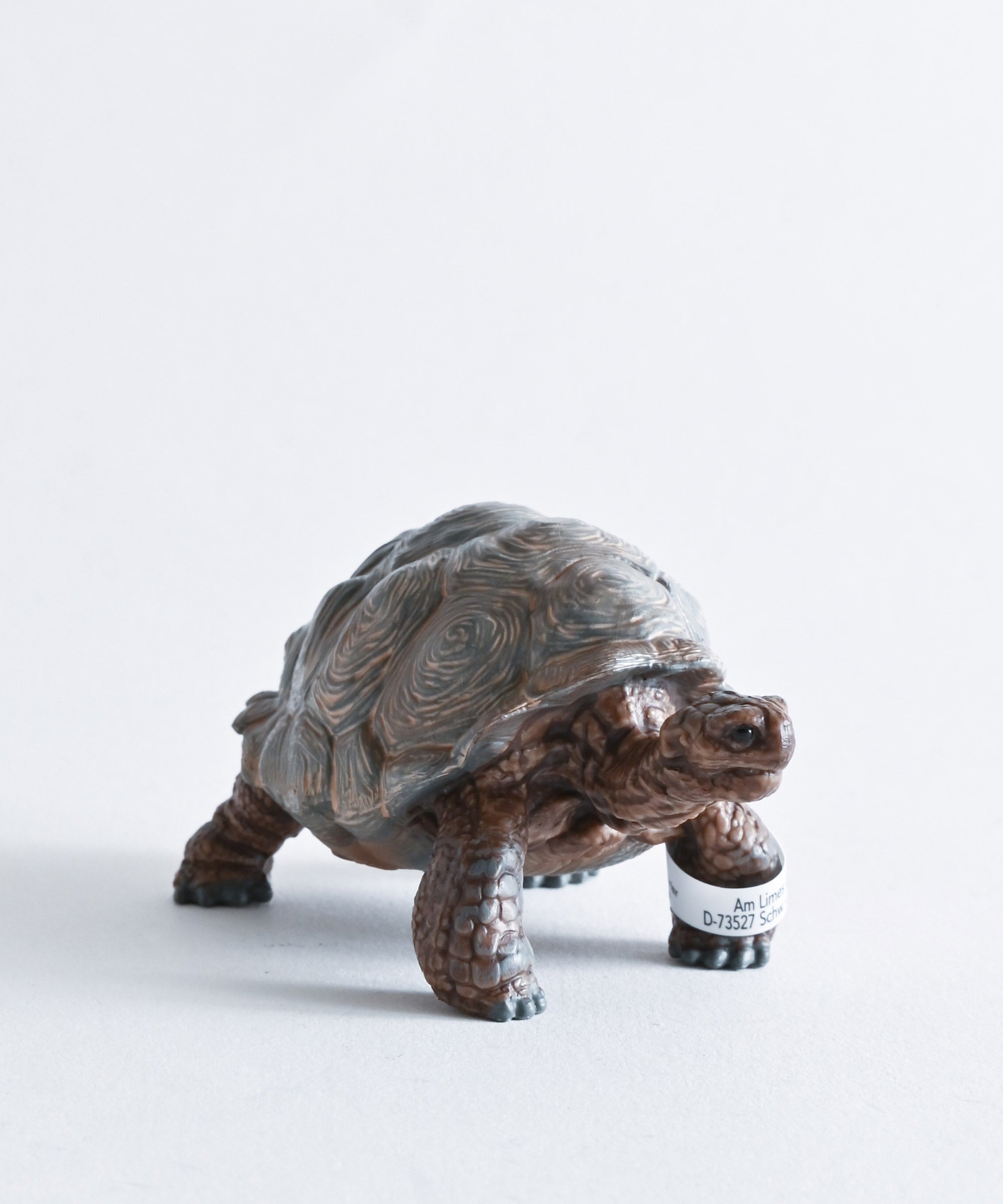 Schleich/シュライヒ】動物フィギュア ゾウガメ – BASIC AND ACCENT