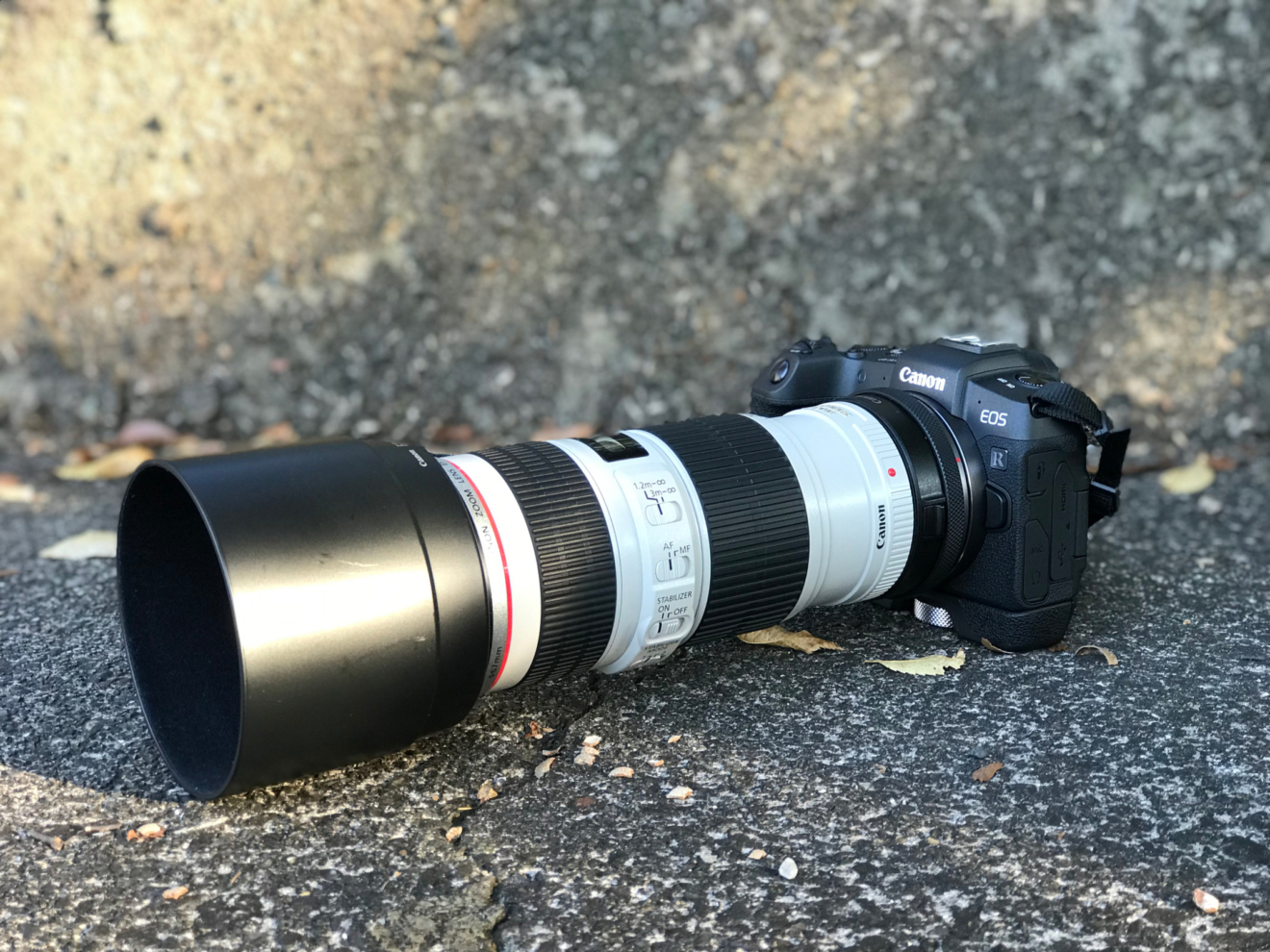最強コスパの中望遠Lレンズ！EF70-200 F4L IS USMレビュー | 僕と写真