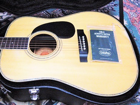 83年製、最後の東海楽器ギター♪Cat's Eyes TCE-25☆ | SIN