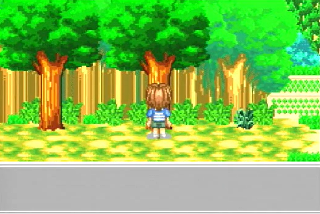 ゲームボーイアドバンス 完品が超入手困難 昆虫の森の大冒険 ～ふしぎ