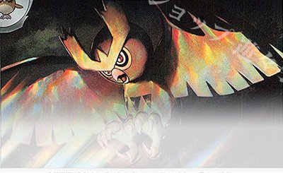 TD ポケパッド(ノーマル仕様) 買取 | [MC] スタートデッキ100 バトル