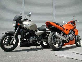 バリオス1/2 アンダーカウル/白ゲル | EIGHT （才谷屋ファクトリー､HEART）