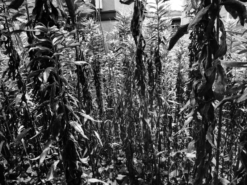 記録58号 - 過去の展覧会 | AKIO NAGASAWA