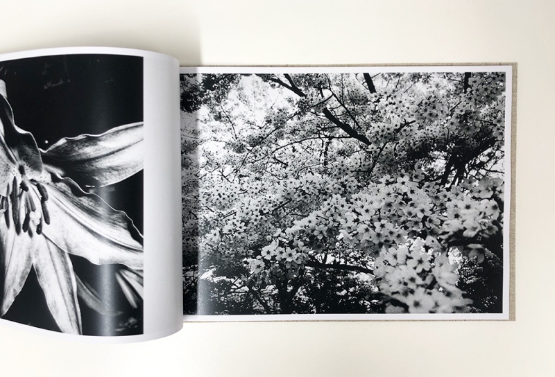 森山大道 『女の道』シリーズ（4部作＋番外編）5冊セット Naomi