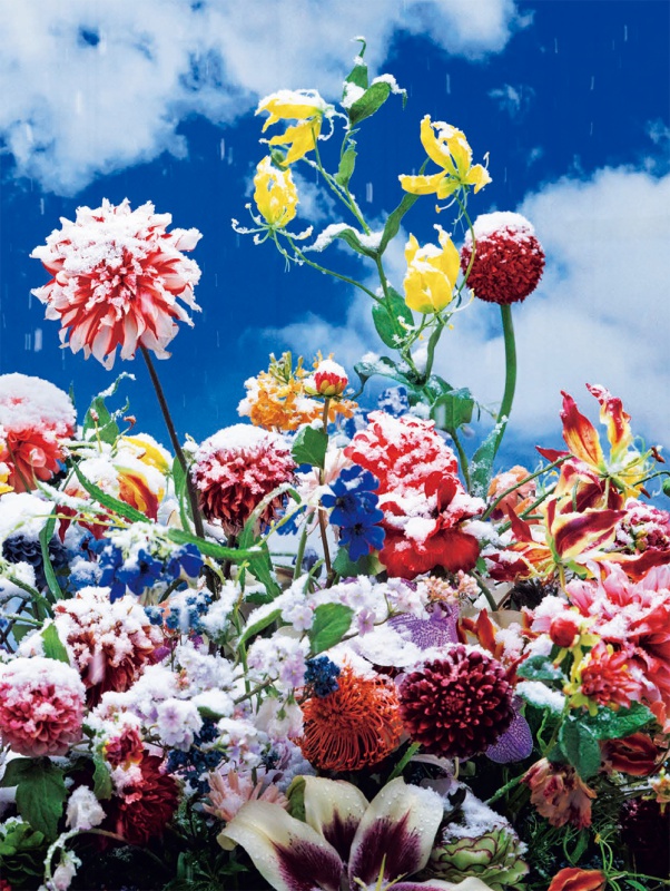 Eternity in a Moment vol.1 - 蜷川実花 | AKIO NAGASAWA