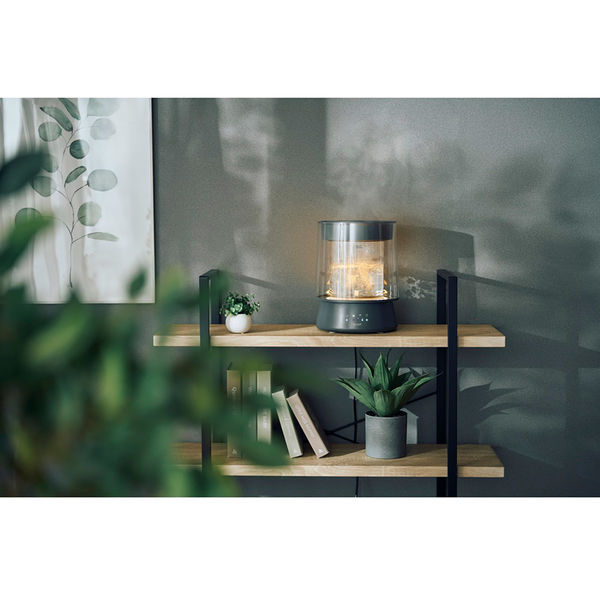 QUADS ガラススチーム加湿器 GLASS(グラス) グレー QS549GY 1台（直送