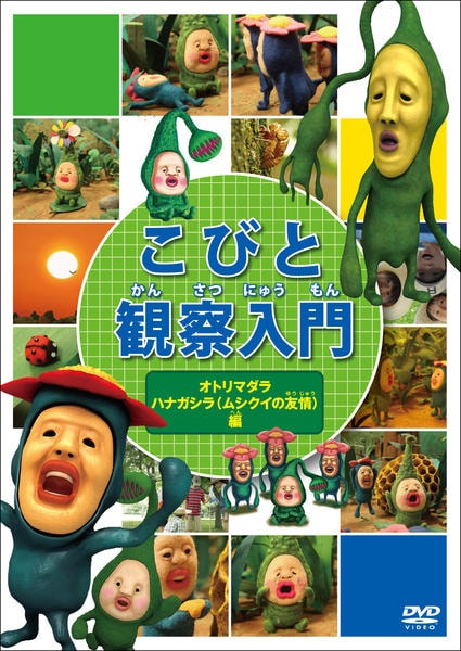 DVD「こびと観察入門 オトリマダラ ハナガシラ（ムシクイの友情）編