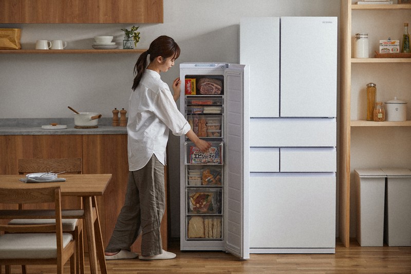 冷凍庫 60L省エネ 家庭用冷凍庫冷凍ストッカー静音 コンパクト 2856