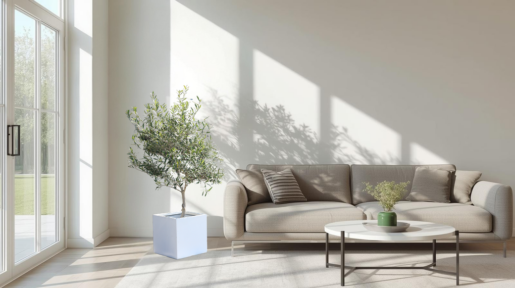 オリーブインテリアの魅力を探る！おしゃれな空間演出法 - 株式会社鶴亀園