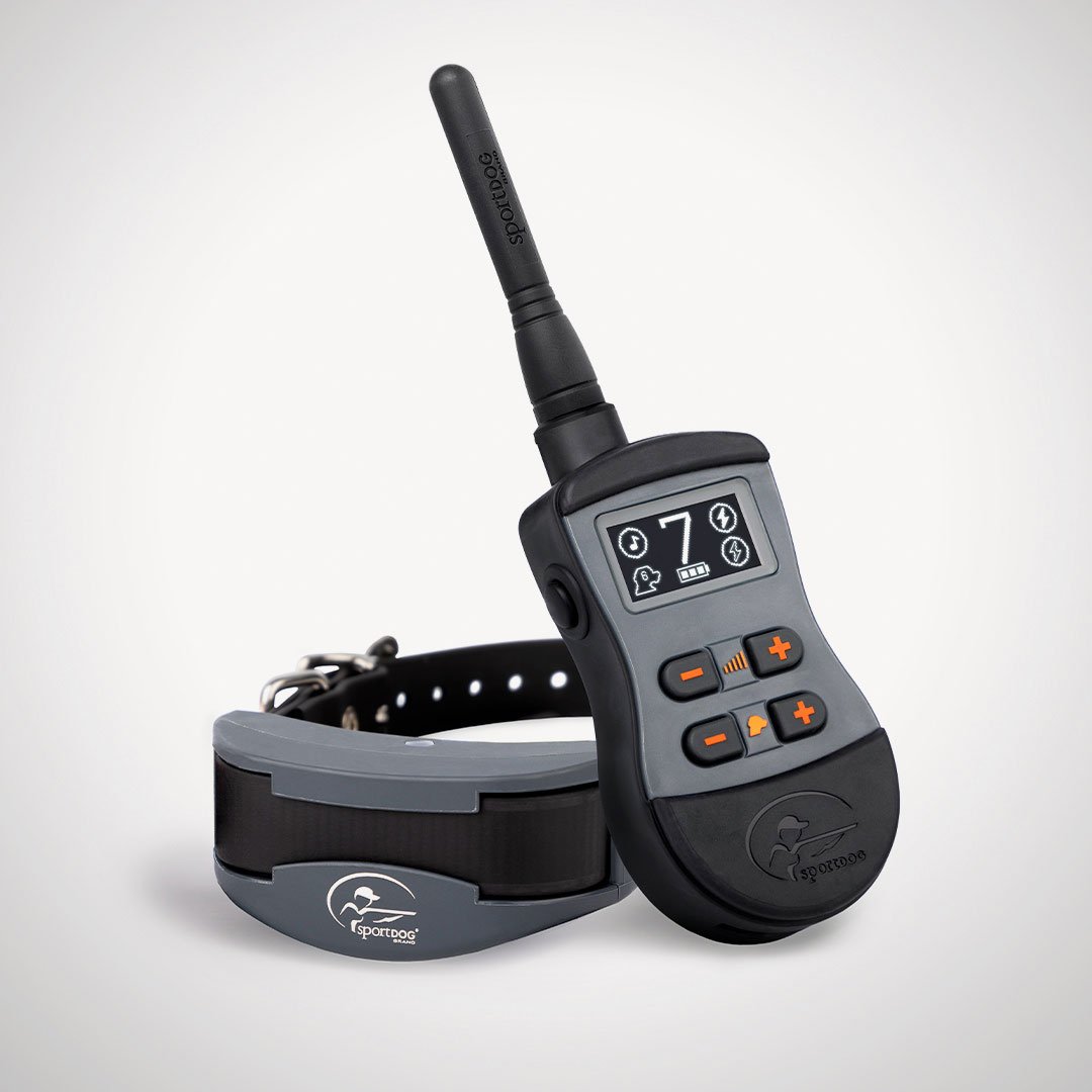 sd-1275-black_pd_hero_web.jpg?