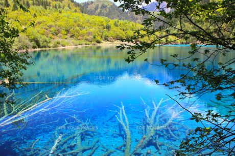 世界遺産・中国・九寨溝の写真素材 [FYI00281381] | ストックフォトの