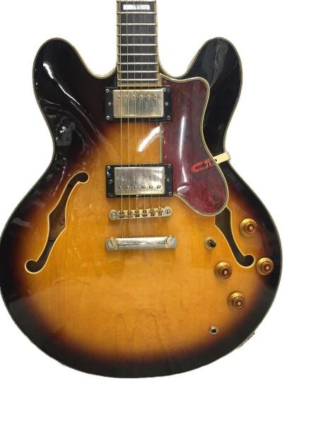 Epiphone(エピフォン) / Sheraton-II PRO Vintage エレキギター