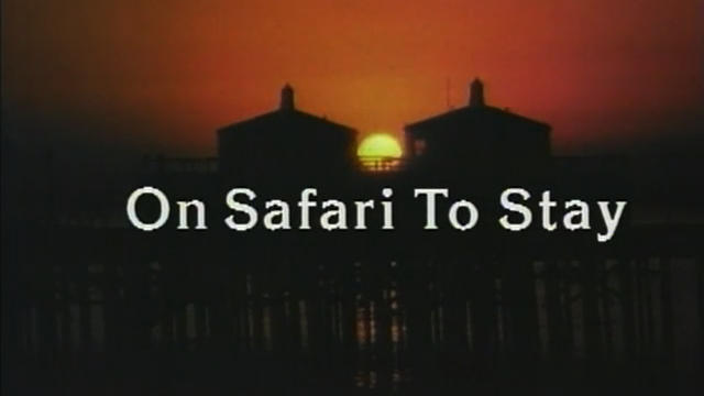 TheSurfNetwork | On Safari to Stay