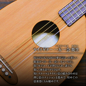 ヤイリギター 一五一会 奏生（アコースティックギター）【0025-001