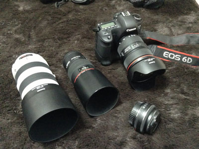 EF70-300mm F4-5.6L IS USM 妥協の望遠Lズームレンズ - Music Box