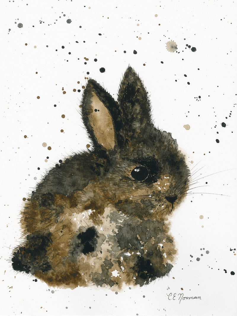 Mottled Bunny Watercolor Print – Christie Norman Art