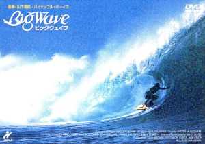 Big Wave 中古DVD・ブルーレイ | ブックオフ公式オンラインストア