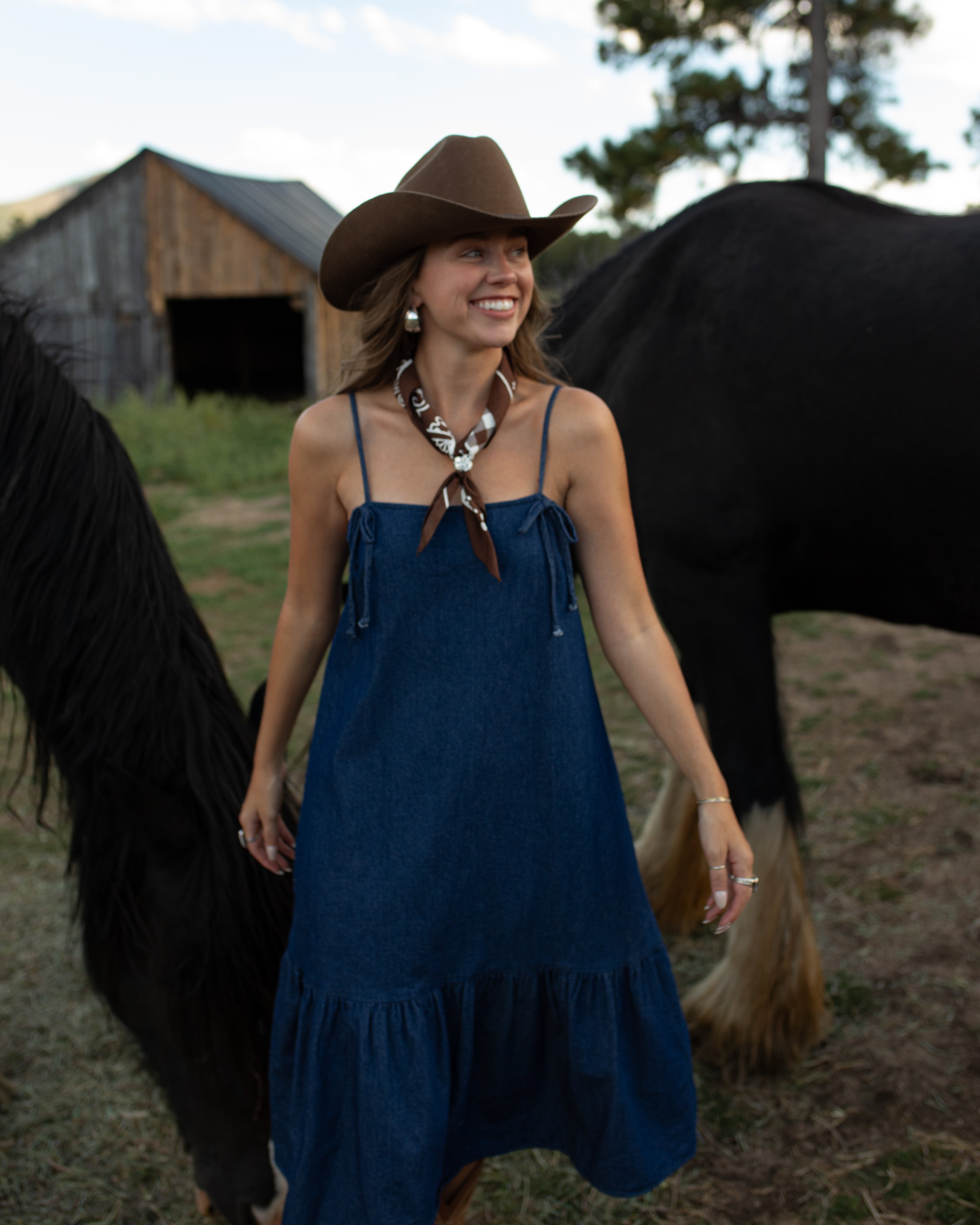 Bonnie Denim Dress – Court's General Store