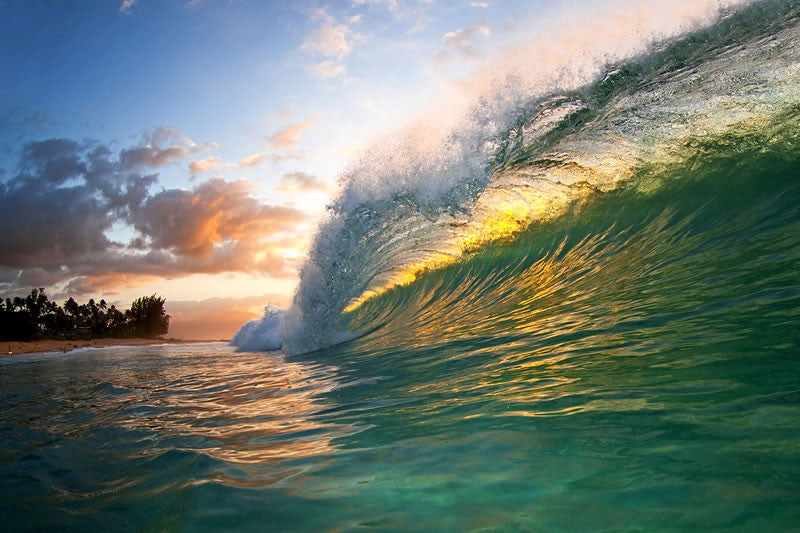 Pineapple Express - Clark Little Photography