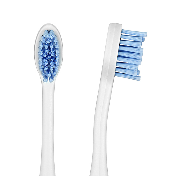 フレイル替えブラシ ｜ クラプロックスプロサイト