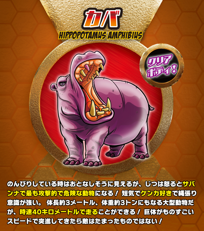 スーパーアニマル＆Co. (アンドコ) | デアゴスティーニ公式