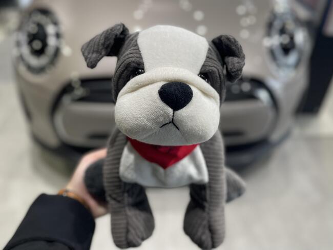 デジタルキャラクターになった新しいスパイクくん🐶🐾 - MINI 山形