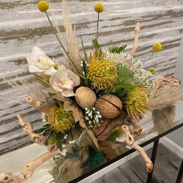 DRIFTWOOD DELIGHT – Devynn's Garden