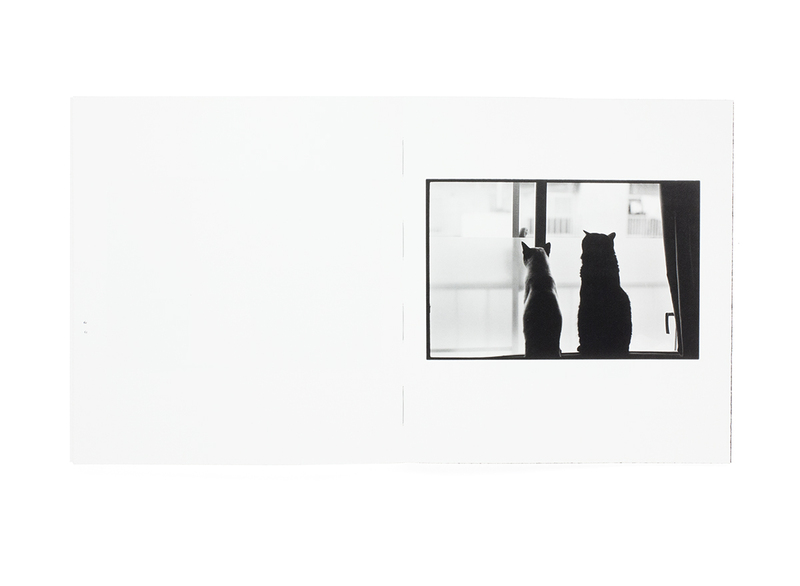 Wonderful Days special edition - 深瀬昌久 | shashasha 写々者