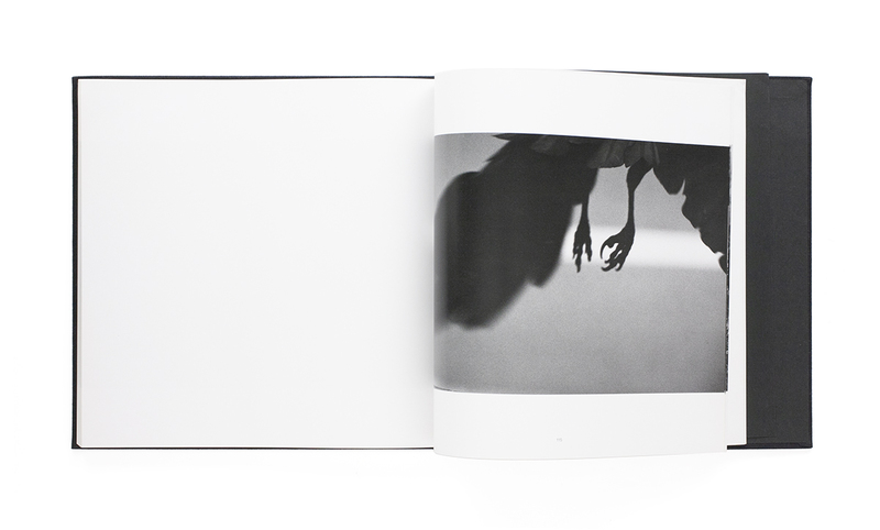 鴉（初版） - 深瀬昌久 | shashasha 写々者 - 写真集とアートブック