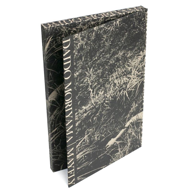 蜉蝣 - 森山大道 | shashasha 写々者 - 写真集とアートブック