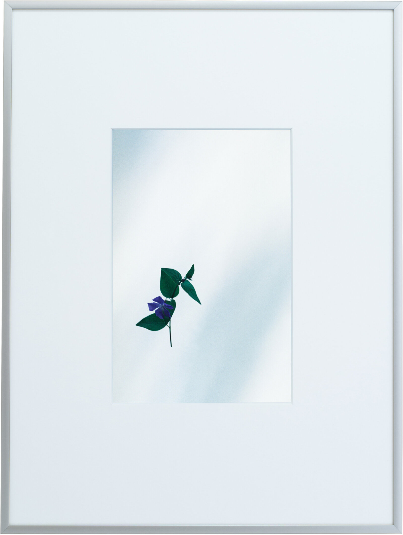 野口恵太 FLOWER Amazon.co.jp: FLOWER : 野口 恵太: 本