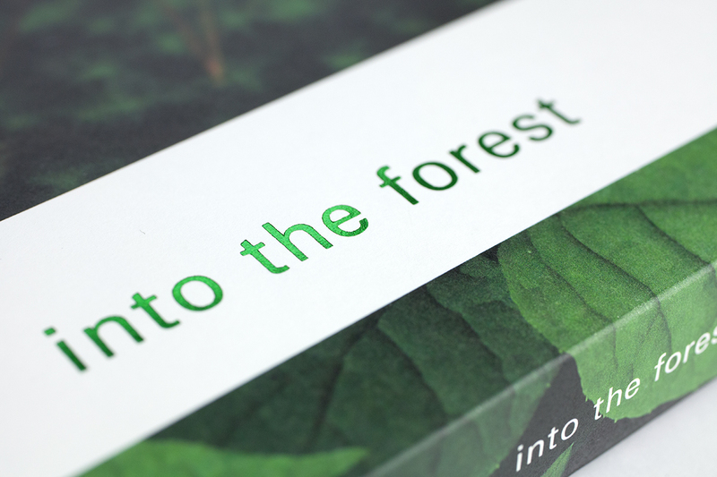 into the forest - 田淵三菜 | shashasha 写々者 - 写真集とアートブック