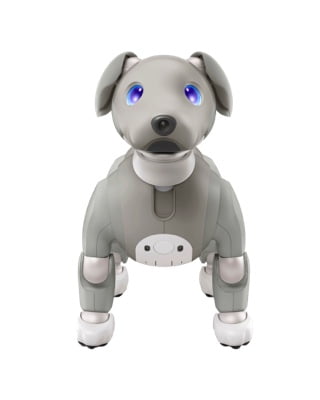 Sony aibo Black Sesame Edition | ERS-1000/H