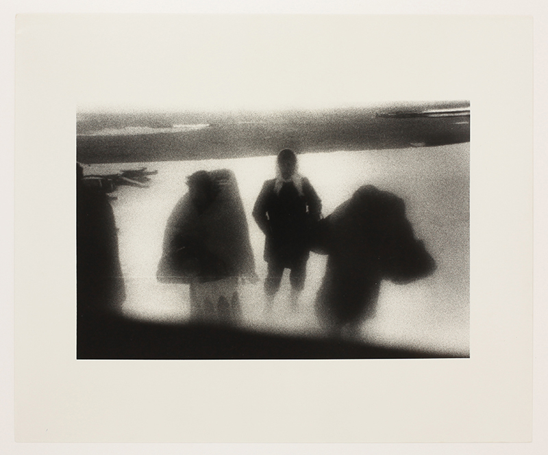 西村多美子「しきしま」 ヴィンテージプリント - 西村多美子 | ZEN