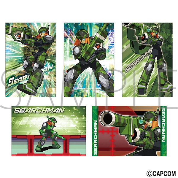 ロックマンエグゼ カード29枚 ロックマン エグゼカードゲーム / Home