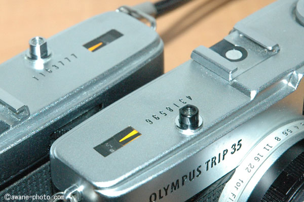 100円はいくらなんでもかわいそう 「オリンパス トリップ35」ふたたび
